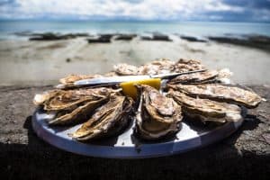 Oysters on a plate in a beach