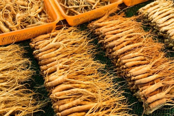 Red ginseng roots in a pile
