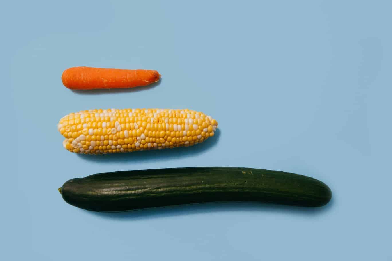 carrot, corn and cucumber on a blue background